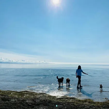 Gradissimo Grado-Pineta