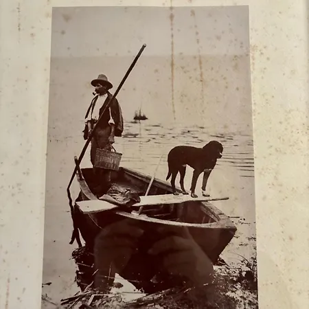 アパート Gradissimo Grado-Pineta