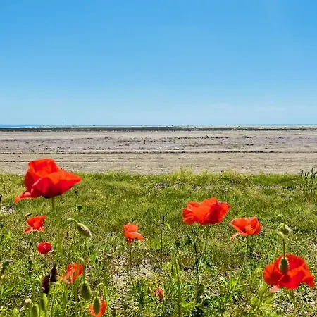 Gradissimo Grado-Pineta