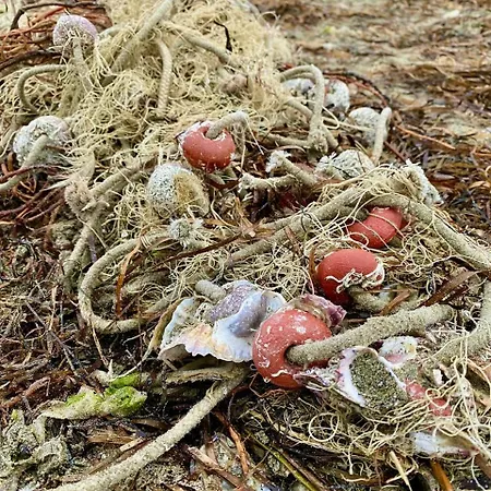 アパート Gradissimo