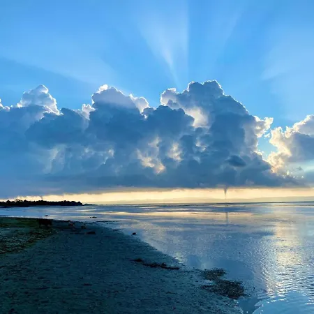 Gradissimo アパート Grado-Pineta