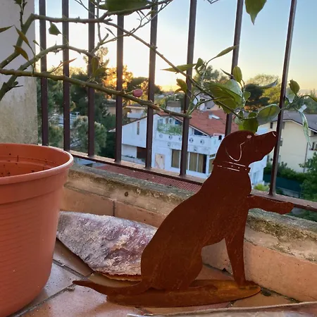 Apartman Gradissimo *