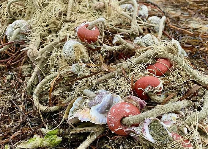 Apartamento Gradissimo